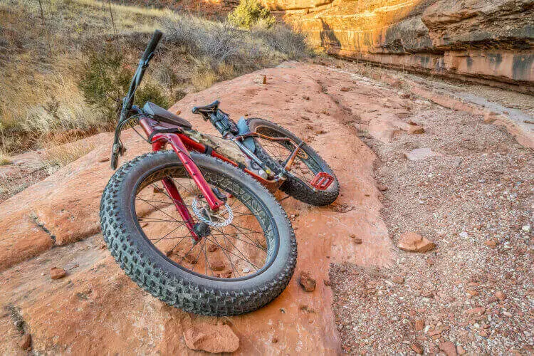 Are Fat Bikes Dead