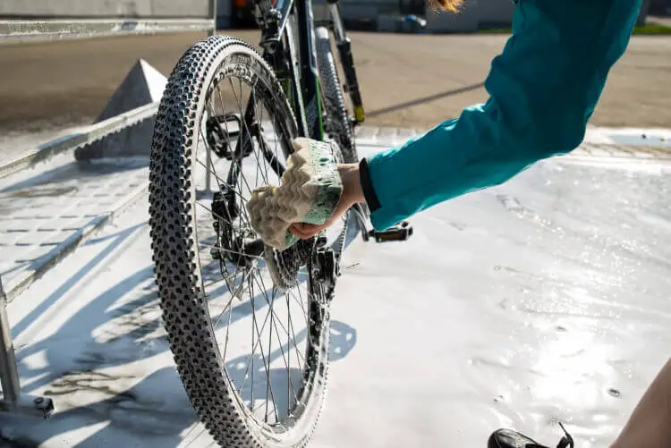 sponge for bike cleaning